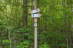 PXL_20240501_084301487