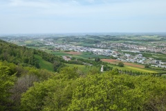 PXL_20240501_104050985