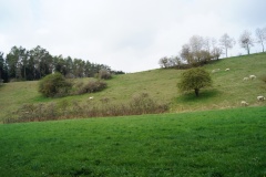 DSC07671