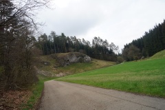 DSC07706