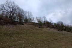 IMG_20220501_101605558