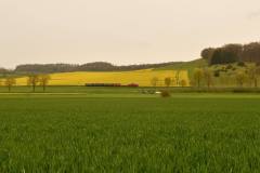 IMG-20230501-WA0011