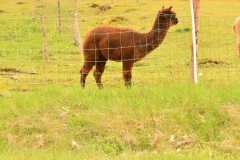 IMG-20230501-WA0028