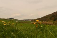 IMG-20230501-WA0030