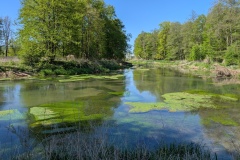 PXL_20250501_084931557