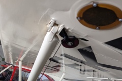 PXL_20250501_113429765