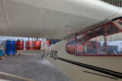 PXL_20250501_113501871