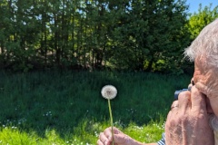 PXL_20250501_130223804