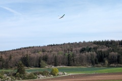 PXL_20240413_145539611
