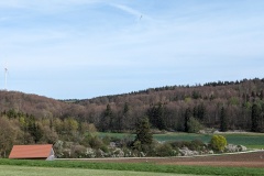 PXL_20240413_145601013