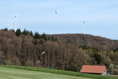 PXL_20240413_145654978