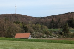 PXL_20240413_145713078