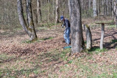 PXL_20260411_101603124.MP_