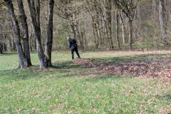 PXL_20260411_101604858.MP_