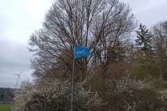 IMG_20220423_122723042