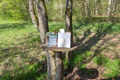 PXL_20240413_082425906