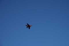 IMG-20250622-WA0003