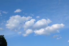 PXL_20260620_171537126