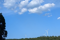 PXL_20260620_171539665