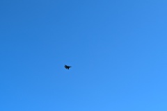 PXL_20250920_120414424