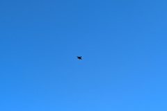 PXL_20250920_120525682.MP_