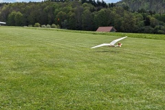 PXL_20240504_082706120