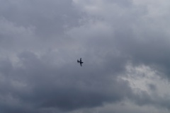 DSC00554
