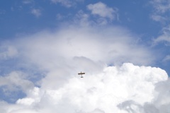 DSC00570