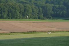 P1030201_8066_65e097f929f