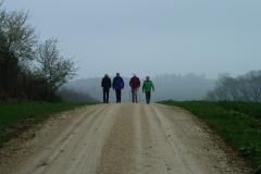 P1040552_8417_65e09a4ba51