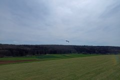 IMG_20240414_143313119